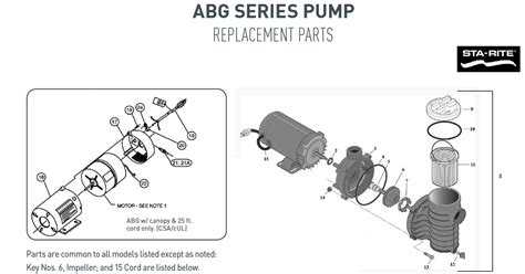 sta rite pool pump parts diagram wiring diagram