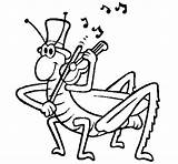 Cigarras Colorir Grilo Grillo Cavalletta Violino Violin Cantando Grasshopper Insectos Cantor Grillito Desenhos Grillos Educacion Instrumentos Musicales Animales Stampare Acolore sketch template