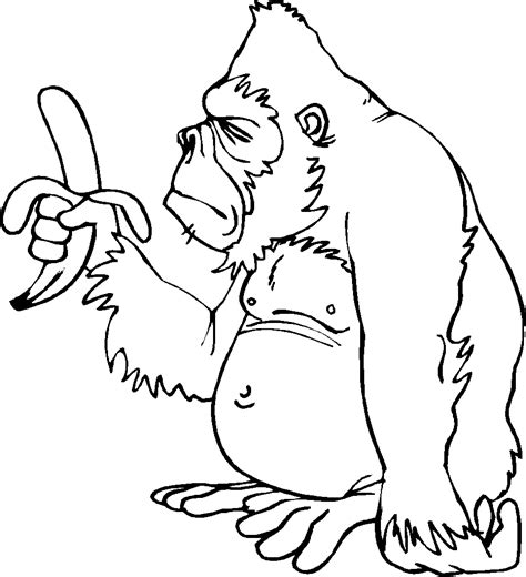 coloring page monkey animal coloring pages