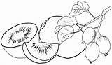 Coloring Kiwi Fruit Healthy Pages Preschoolers Fun sketch template