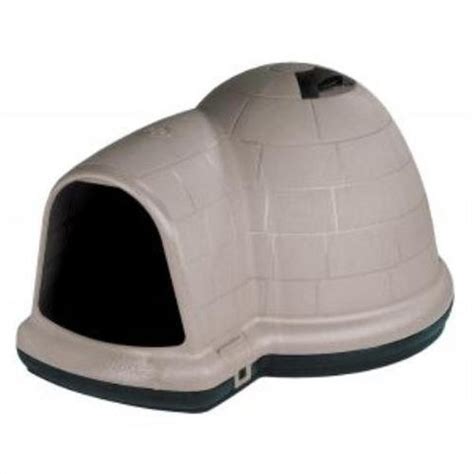 insulated dog houses  winter dog house reviews