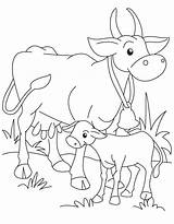 Ox Plowing sketch template