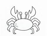 Crab Coloring Printable Outline Drawing Pages Template Baby Kids Clipart Print Horseshoe Animal Sebastian Colouring Simple Animals Color Sheets Mermaid sketch template