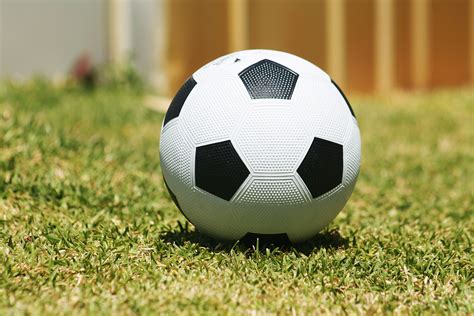 stock photo  ball soccer soccer ball