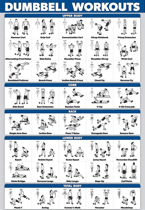 dumbbell workout program at home blog dandk