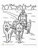 Husky Sled Coloriage Inuit Iditarod Schlittenhunde Traineau Banquise Musher Esquimaux Coloriages Seasons Malvorlage Tiere Apprendre Maternelle écrire Inuits Polaires Quizizz sketch template