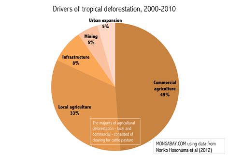 pie chart showing   tropical deforestation drivers  rain  xxx hot girl