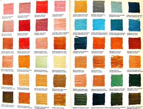 vegetable dye color chart endpaper  vegetable dyeing  flickr