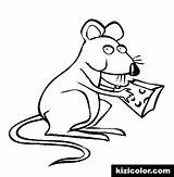 Coloring Sobolan Rats Rato Planse Desene Colorat Fo Educative Analytics Trafic Preschoolcrafts sketch template