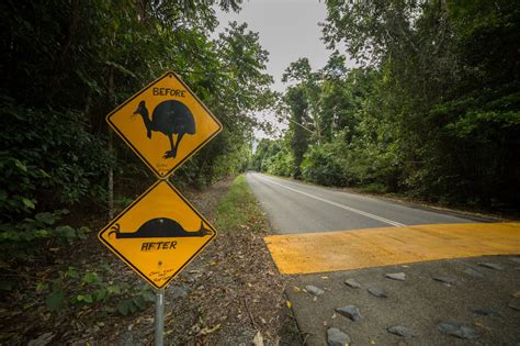 funny road signs   exist  travel leader