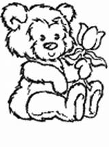 Coloring Bear Pages Flowers Flower Ws sketch template