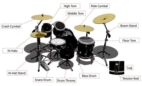 learn   anatomy   drum kit including  drum shellshardwaretension rodslugs