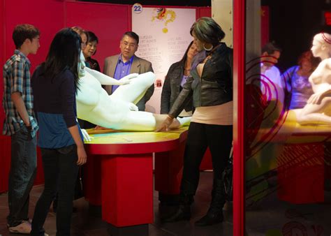 controversial sex exhibit heads to kitchener museum toronto star