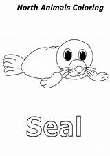 Coloring Animals Seal Arctic Baby Pages Kidsplaycolor Color Animal sketch template