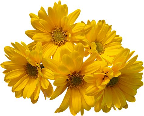 yellow flowers bouquet transparent image hq png image freepngimg