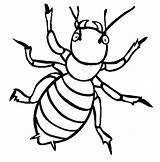Insect Coloring Pages Animal sketch template