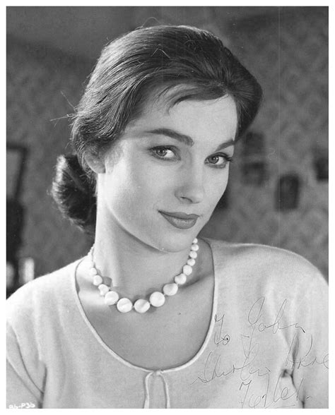shirley anne field signed photo carla from alfie sucking