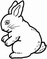 Rabbit Coloring Pages Bunny Kids Outline Printable Rabbits Print Drawing Cartoon Cute sketch template