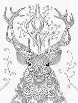 Coloring Pages Christmas Mandala Adult Reindeer Easter Animal Colouring Tiere Ausmalbilder Erwachsene Mandalas Animals Books Vk Book Winter Choose Board sketch template