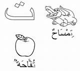 Arabic Taa Alphabet Coloring Pages Apple Crocodile Tocolor Color sketch template
