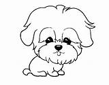 Coloring Maltese Pages Dog Colorear Dibujos Para Sausage Maltes Perro Con Color Dibujo Perros Coloringcrew Animales Dogs Google Pintar Animals sketch template