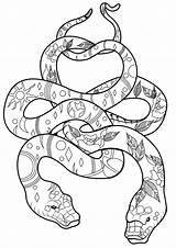 Coloring Pages Snakes Cool Adult Popular Two sketch template