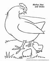 Chicken Coloring Pages Template Farm Hen Animal Animals Mother Chickens Kids Guinea Fowl Chicks Printable Activity Templates Print Honkingdonkey Sheet sketch template