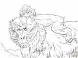 Baboon Coloring Pages Baby Realistic Printable Print Mother Moms Color Kids Drawing Coloringbay Skip Main sketch template