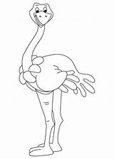 Ostrich Coloring Somali sketch template