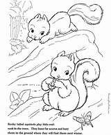 Squirrel Coloring Pages Animal Choose Board Sheets Farm Baby Print sketch template