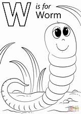 Worm Worksheet Earthworm Gusano Write Worms Supercoloring Lionni Leo Insects sketch template