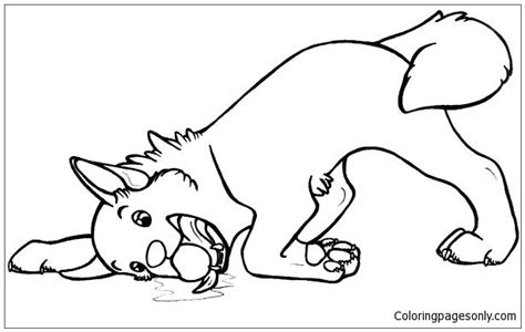 siberian husky puppy coloring page  printable coloring pages