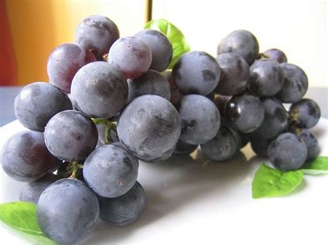 prevencion  nutricion  sorprendentes beneficios de la uva concord