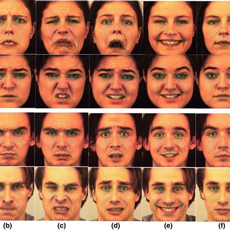 Samples Of The Kdef Dataset The First Row Gives The Seven Emotional