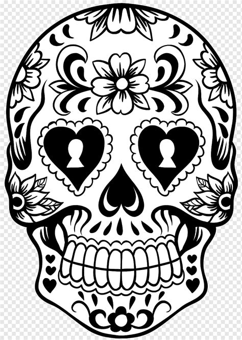 calavera coloring book skull day   dead calaca skull child