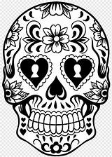 Caveira Skulls Calavera Desenho Calaca Tattoo Skeleton Thecraftedsparrow Caveiras Chicano Totenkopf Getdrawings Pngwing Colouring Moziru Scull Clipartmag Malvorlagen sketch template