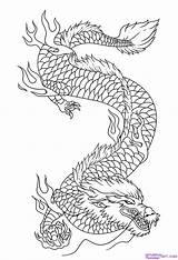 Draak Kleurplaat Volwassenen Kleurplaten Dragons Dragoart Drachen Omnilabo Enge Japanische Grote Ausmalen Draken Zeichnen sketch template