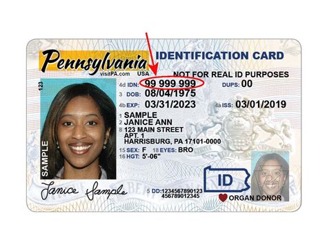 photo id driving licence  law templates