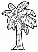 Banana Tree Coloring Drawing Clipart Plant Bunch Pages Clip Colouring Trees Cliparts Kids Netart Getdrawings Library Line sketch template