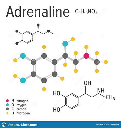 chemical formula of the vector adrenaline molecule stock vector