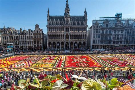 brussels pays tribute   vibrant colours  africa  stunning carpet  begonias  grand