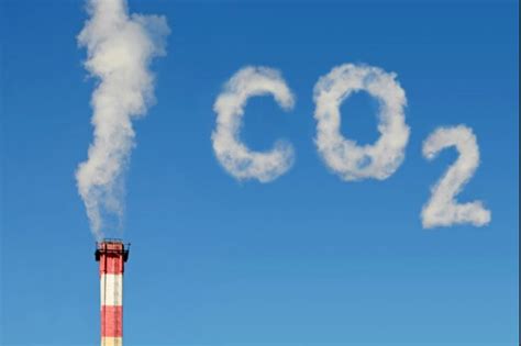 essay  carbon dioxide child article