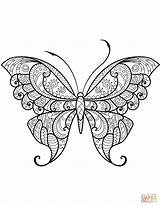 Coloring Butterfly Pages Zentangle Paper Drawing sketch template