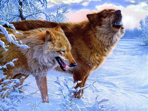 winter wolves wallpapers  images wallpapers pictures