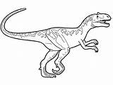 Dinossauro Dinossauros Pintar Pages Majungasaurus Fargelegg Drager sketch template