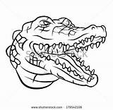 Crocodile Alligator Open Mouth Drawing Vector Clipart Sketch Outline Head Easy Draw Stock Eps Drawings Illustration Drawn Getdrawings Shutterstock Sketches sketch template