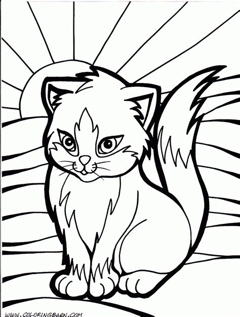 cute kitten coloring pages    print