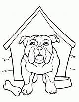 Bulldog Kolorowanka Buldog Budzie Angielski Kolorowanki Kennel Psy Colorare Disegni Kleurplaat Cani Kleurplaten Druku Bulldogs Hondenhok sketch template