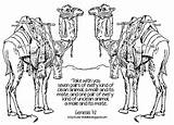 Coloring Camels Two Color sketch template