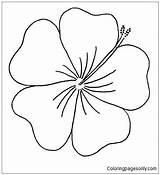 Hibiscus Moana Coloringpagesonly sketch template